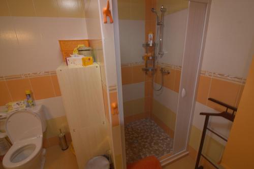 Kladenské Rovné奥瑞兹之家山林小屋的带淋浴和卫生间的小浴室