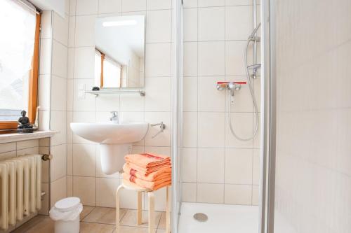 HausenZur Dorfschänke的白色的浴室设有水槽和淋浴。