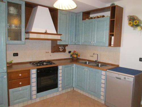 Roncegno黛博拉公寓的厨房配有蓝色橱柜和水槽