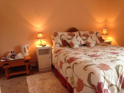 克利夫登Eriu Lodge的一间卧室配有一张床,床头柜配有两盏灯