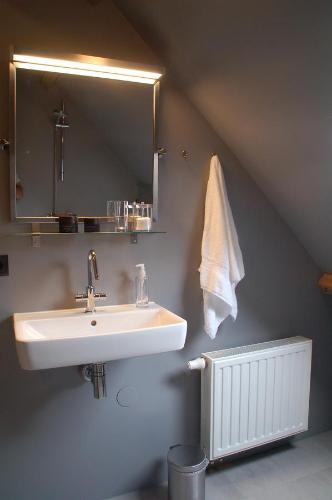 多尔恩克莱因杜布林酒店的一间带水槽和镜子的浴室