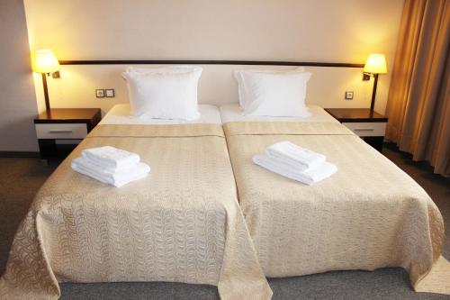 普罗夫迪夫康多罗斯酒店的两张位于酒店客房的床,配有毛巾