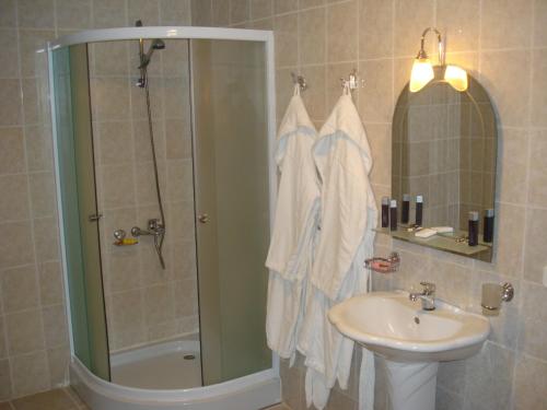 阿克套Жеруйык Отель的带淋浴和盥洗盆的浴室