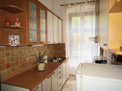 普拉Apartment Stoja的厨房配有水槽和台面