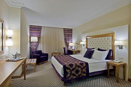 伯萨杜竺选择酒店的配有一张床和一张书桌的酒店客房