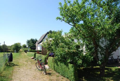 Ferienwohnung Hiddensee in Vitte平面图