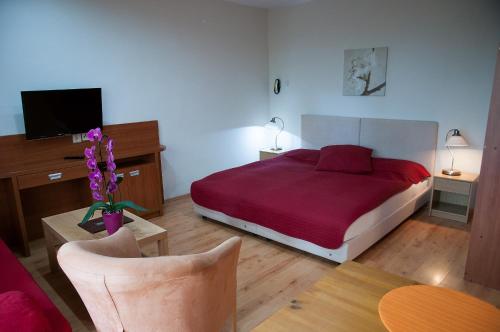 皮耶什佳尼阿斯特拉旅馆的一间卧室配有一张床、一台电视和一张桌子
