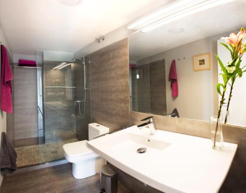 科尔多瓦河上公寓的一间带水槽、卫生间和镜子的浴室