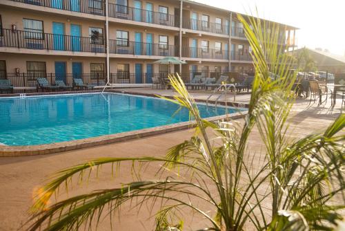 基西米佛罗里达州四季酒店的酒店前的游泳池