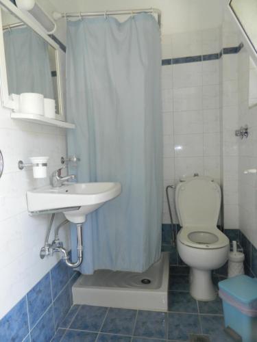 阿依亚埃夫菲亚Logaras Apartments的浴室配有卫生间、盥洗盆和淋浴。