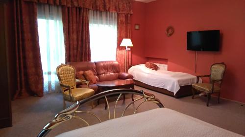 Podkowa LeśnaVilla Podkowa的酒店客房设有一间带一张床和电视的卧室