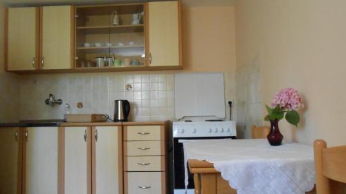 Apartment and Rooms Novka的厨房或小厨房