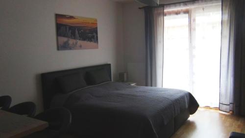 什平德莱鲁夫姆林Apartment Medvědín 92的一间卧室设有一张床和一个大窗户