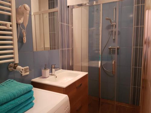 弗罗茨瓦夫Luna的一间带水槽和淋浴的浴室