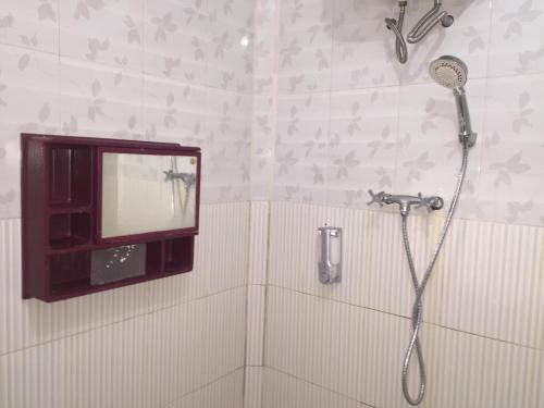 武吉丁宜德克科住宿加早餐旅馆的带淋浴的浴室以及墙上的电视。