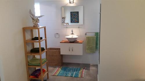 克拉伦代克Appartement bonaire的一间带水槽和镜子的浴室