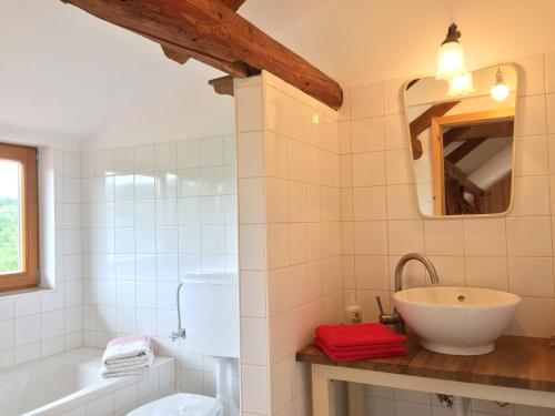 斯洛文尼亚科尼采Mala Kmetija的一间带水槽、浴缸和镜子的浴室