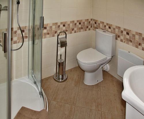 迪马诺卡多林纳Chata Iľanovka的浴室配有卫生间、淋浴和盥洗盆。