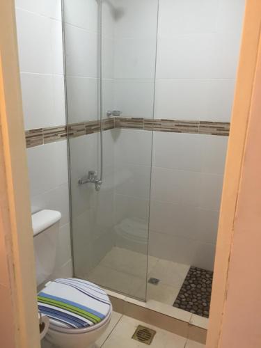 门多萨恩特雷里奥斯奥利沃斯公寓的带淋浴和卫生间的浴室