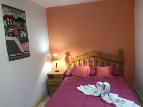 门多萨恩特雷里奥斯奥利沃斯公寓的一张带粉色床单和天鹅毛巾的床