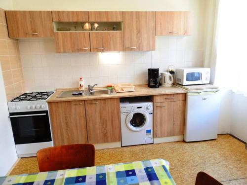布拉格哈维尔斯卡10号公寓的厨房配有洗衣机、水槽和洗碗机。