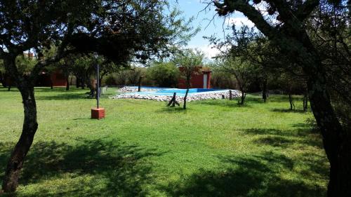 科塔德拉斯Cabañas Calma Chicha的草地上带游泳池的公园