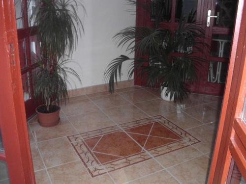 德布勒森潘基欧站酒店的一间铺有瓷砖地板的带两盆植物的房间