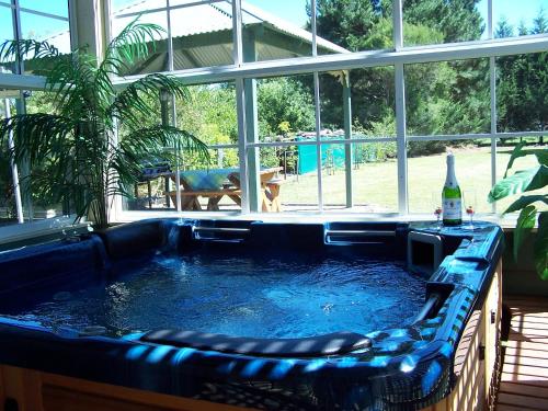 艾尔登森伯斯特度假屋的一座房子里的大型游泳池,备有一瓶啤酒
