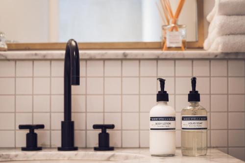 阿姆斯特丹Morgan & Mees Amsterdam的两瓶肥皂在水槽旁边的柜台上