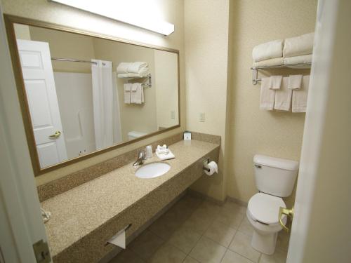 昆西小镇乡村旅馆及套房酒店的一间带水槽、卫生间和镜子的浴室