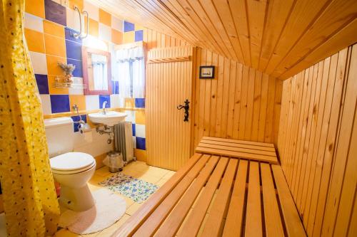 Kamniška Bistrica克拉列夫山旅馆的一间带卫生间和水槽的浴室