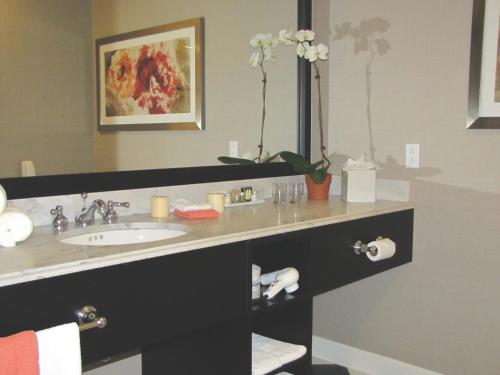 Daniels格拉德温泉度假酒店的一间带水槽和镜子的浴室