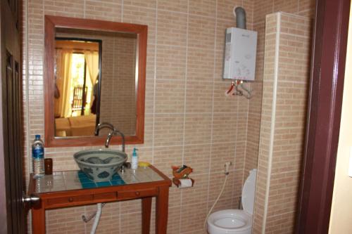 阁帕延岛水牛城湾度假俱乐部酒店的一间带水槽、卫生间和镜子的浴室