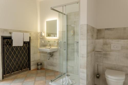 唐格明德坦格尔明德施沃泽阿德勒酒店的带淋浴、卫生间和盥洗盆的浴室