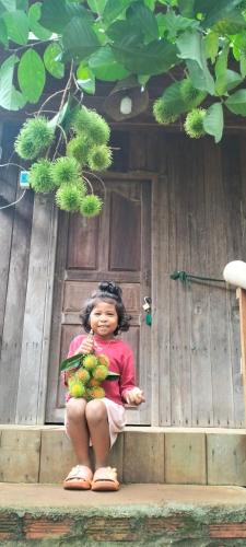 Ratanakiri Farmhouse & Trekking