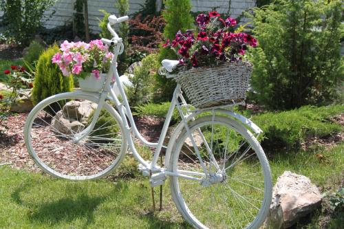 PrylukyAlexandria Hotel的一辆白色的自行车,装满鲜花篮子