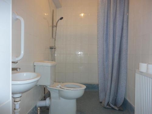 伦敦罗马路市场市景酒店的浴室配有卫生间、盥洗盆和淋浴。