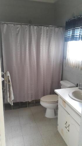 金斯敦Kingston Studio Apartment的一间带卫生间和淋浴帘的浴室