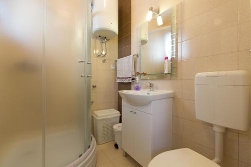 萨拉热窝Apartment Honey Free Parking的浴室配有卫生间、盥洗盆和淋浴。