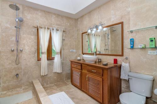 Port ElizabethSandrati Villa的一间带水槽、卫生间和淋浴的浴室