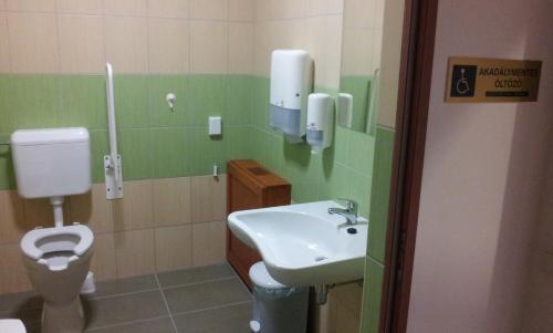 贝凯什乔包Fenyves Wellness Hotel Békéscsaba的一间带水槽和卫生间的浴室