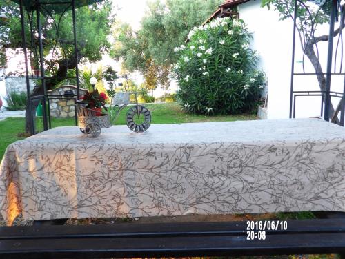 波利克罗诺Peristeridi Apartments的一张桌子,上面有花盆和一根卡