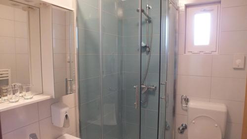 格拉博瓦茨艾玛旅馆的浴室设有玻璃淋浴间和卫生间
