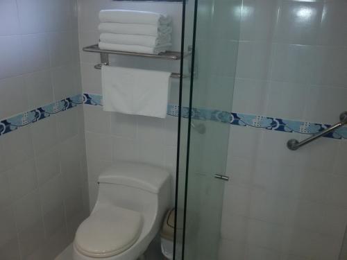 圣赫罗尼莫Hotel el Tesoro的一间带卫生间和玻璃淋浴间的浴室