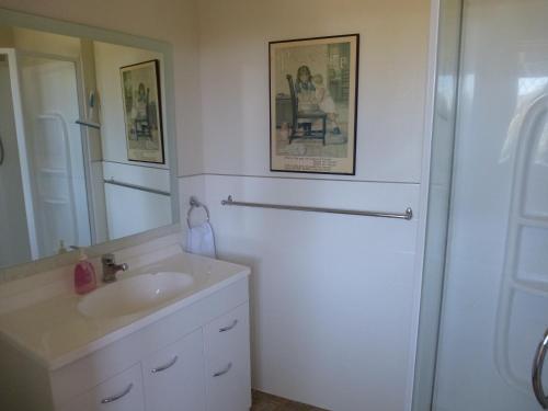 北哈夫洛克圣安德鲁斯旅馆的一间带水槽和镜子的浴室