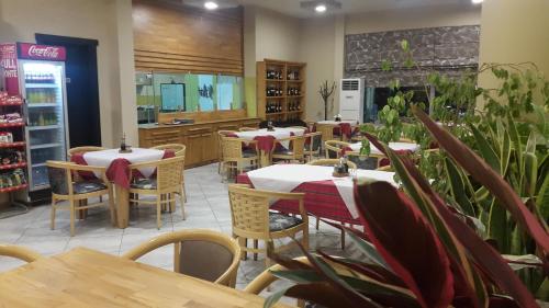 RinasHotel Alpet的一间设有桌椅的餐厅,种植了植物