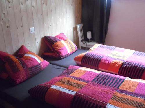 坎德施泰格索奈赫恩小木屋公寓的一间设有两张带彩色毯子的床的客房