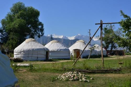 Jurten Camp Almaluu