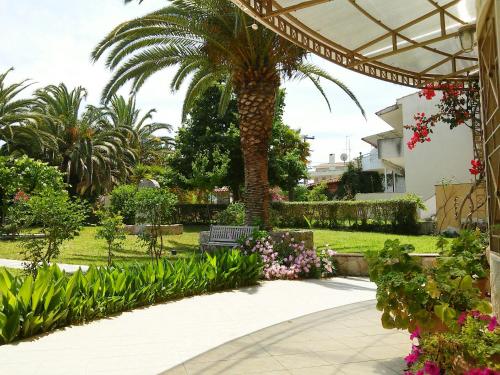 卡尼奥提Asteras hotel的花园里的棕榈树和长凳