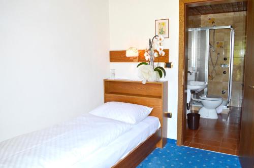 圣洛伦佐-迪塞巴托Pension Panorama的一间卧室配有一张床,浴室设有卫生间